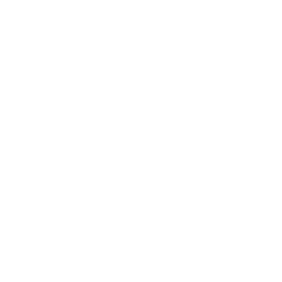 ce logo Conway